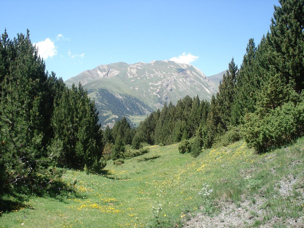 Villa Xalet Riba - Hut 8077 Arinsal Esterno foto